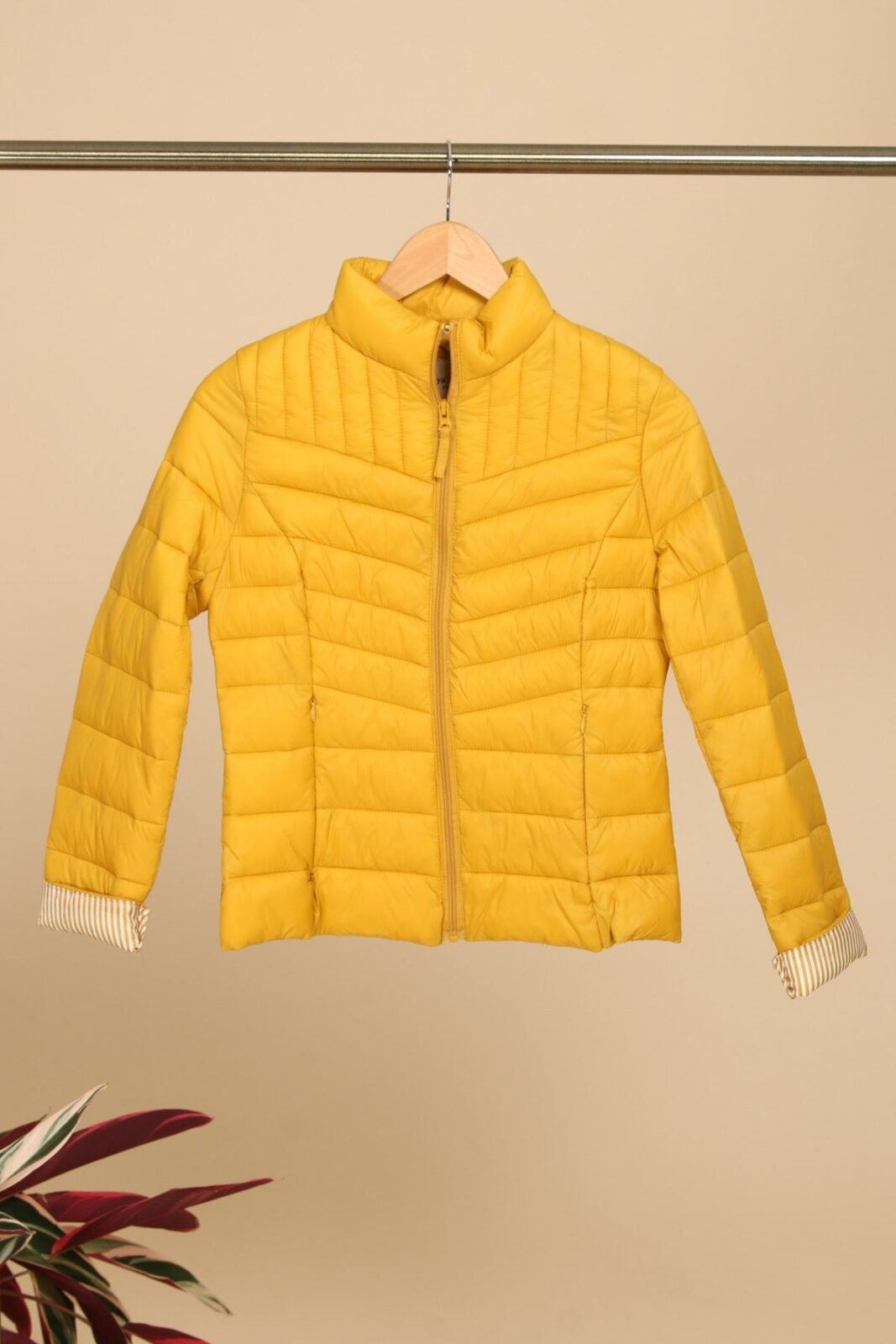 image_efa3706f-3bca-4145-879a-9d351cd6c852 Μπουφάν καπιτονέ λεπτό ριγέ - Image 1